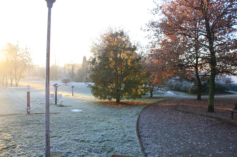 image11