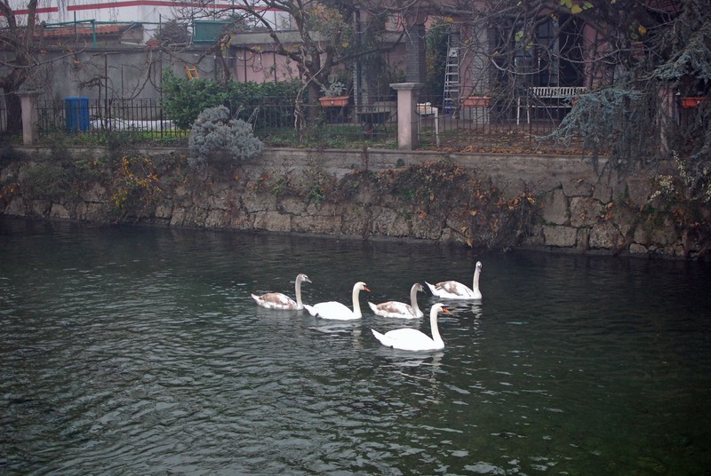 image83