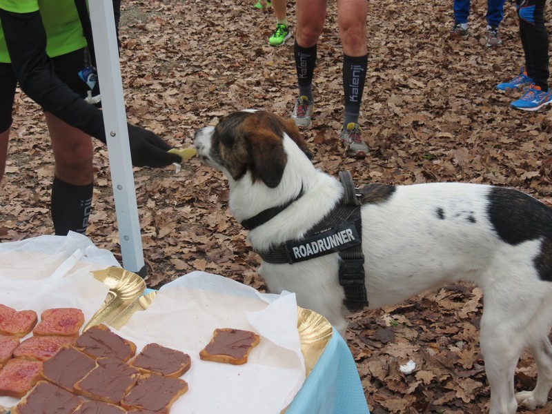 image65